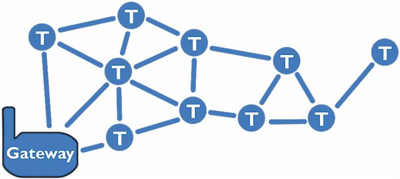 Pelican Mesh Network Graphic