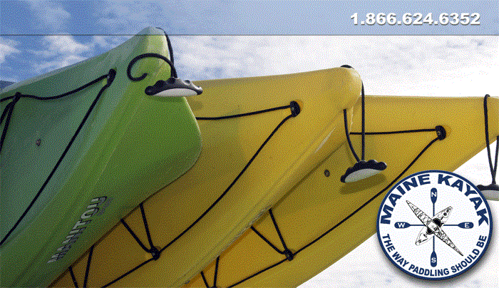 Kayak Rental Banner 2
