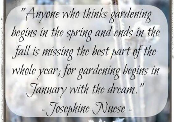 Dream of Gardening
