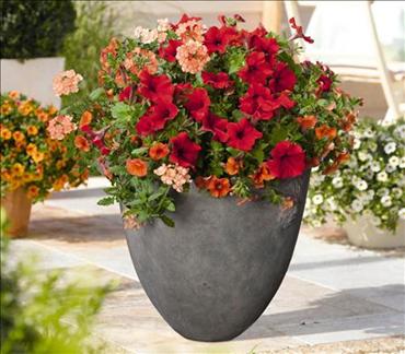 Beautiful, unique planters