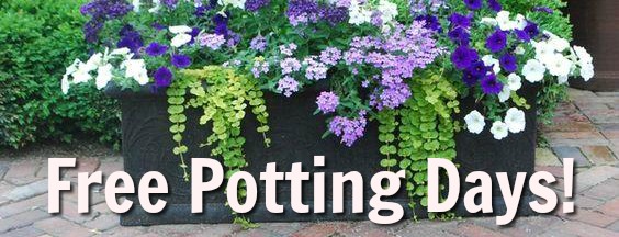 Free Potting Days