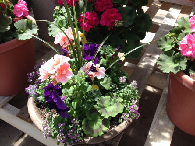 Memorial Day Planter