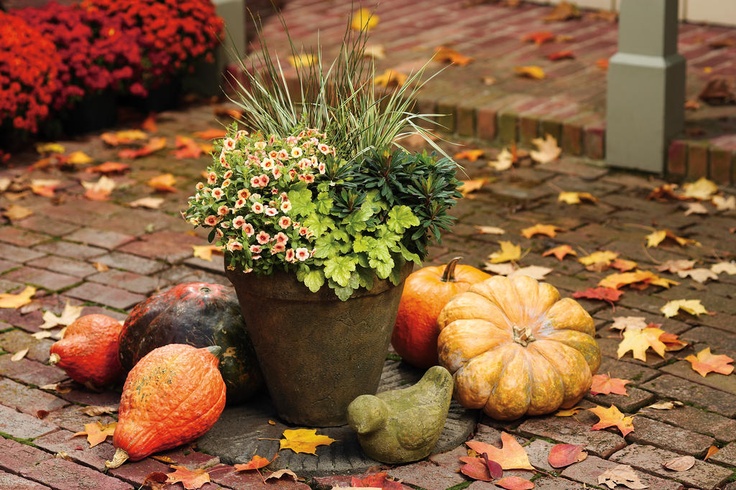 Fall Inspiration