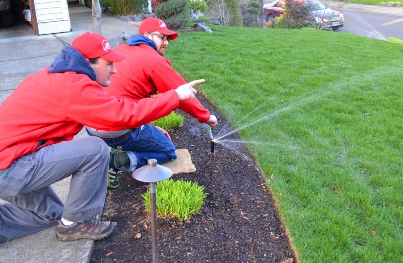 Professional Sprinkler System