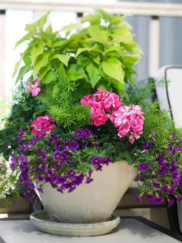 Beautiful Planter