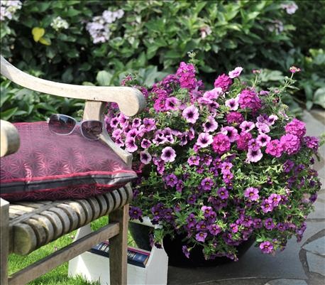 Beautiful Planter