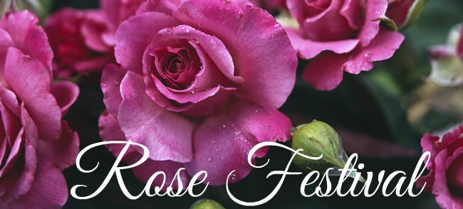 Rose Festival