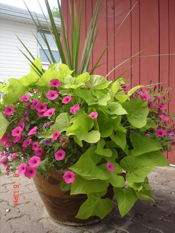 Planter