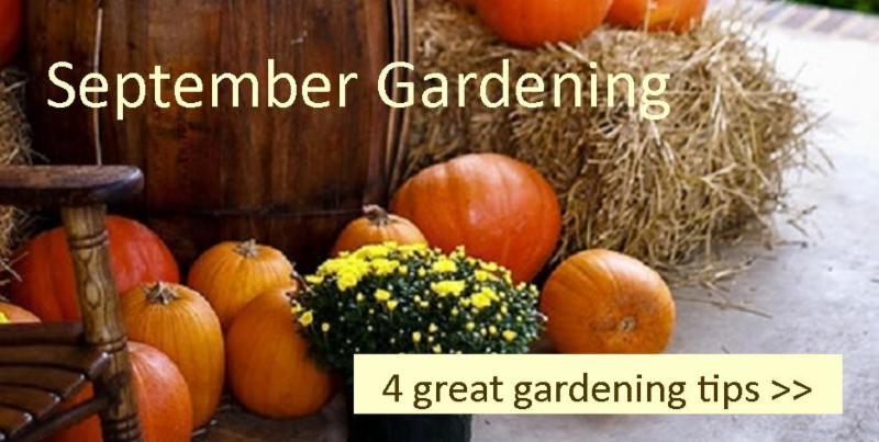 September Gardening Tips