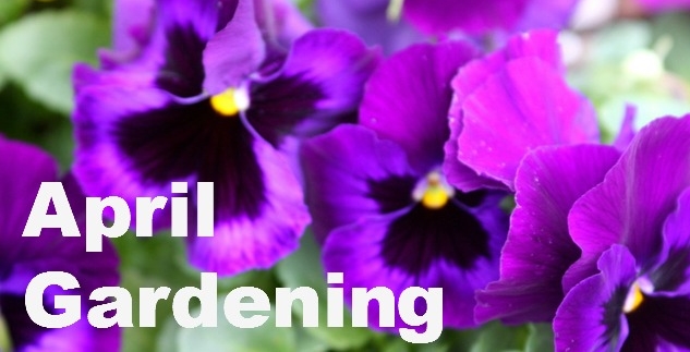 April Gardening