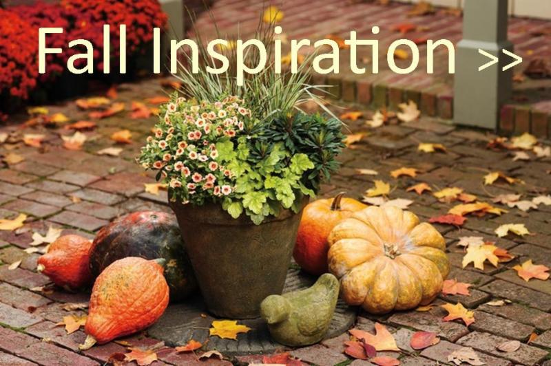 Fall Inspiration on Pinterest