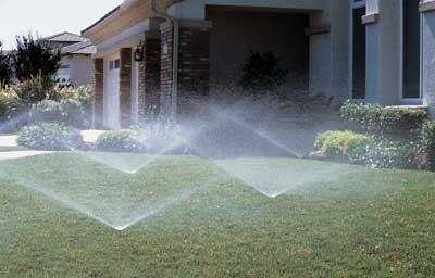 Professionally Installed Sprinkler System