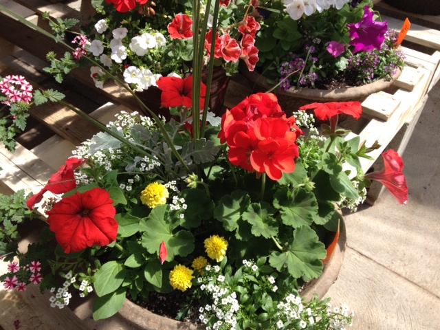Memorial Day Planter