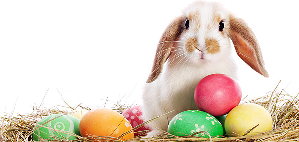Bunnie with Easter Eggs 