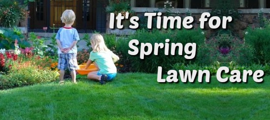 Spring Lawn Care