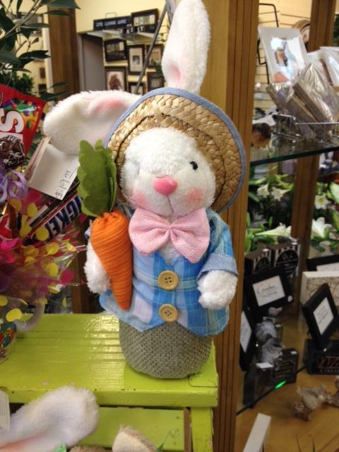 Bunnie