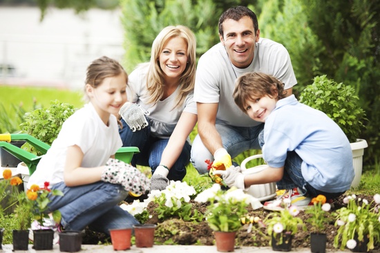 Family Gardening