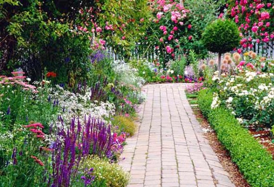 Perennial flower bed