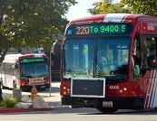 Utah Transit Authority Buses