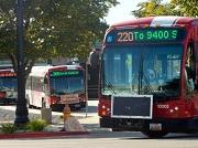UTA Buses
