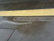 Seattle Transit Stop
