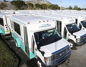 Palm Tran Buses