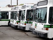 MATA Buses