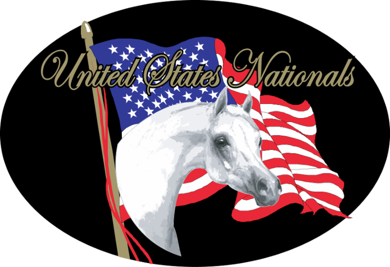 US National logo