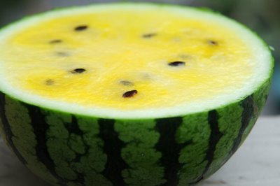 Yellow watermelon