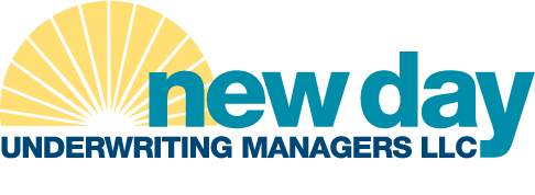 New Day Logo