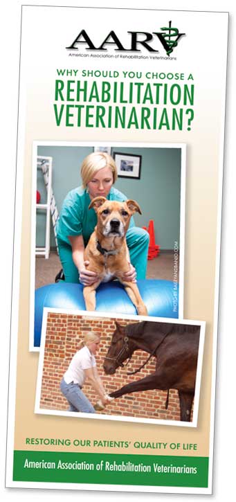 Why Should You Choose a Rehabilitation Veterinarian? brochure cover