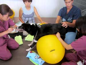 Maria Maddox at Al Animal