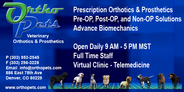OrthoPets ad