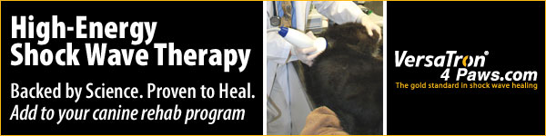 Pulse Vet www.pulsevet.com