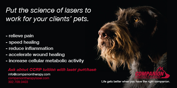 CompanionAugust2013Banner