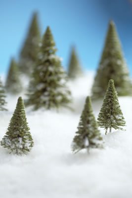 mini-winter-landscape.jpg