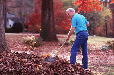 elder-man-raking.jpg
