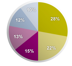 pie chart image