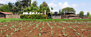 image of farm land
