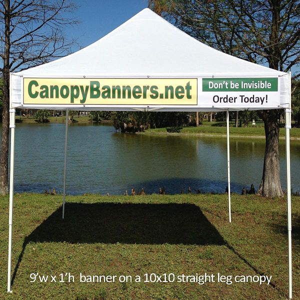 030c00b2-9e75-4d65-9099-45d563cfaa60.jpg?width=500