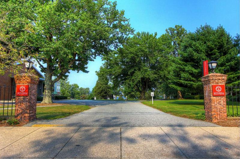 c6bc54bc-0c9e-48c6-a7db-ee0da416c190.jpg?width=378