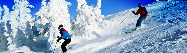 two-skiers-header.jpg