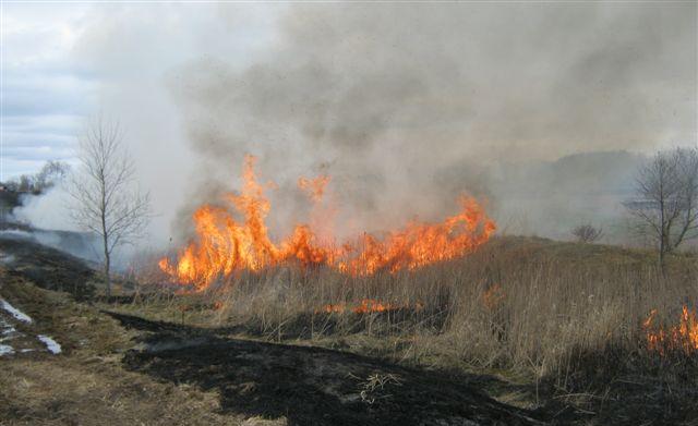 Abrams Burn