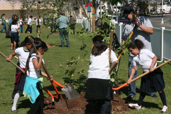 School Children help plant trees for Arbor Day