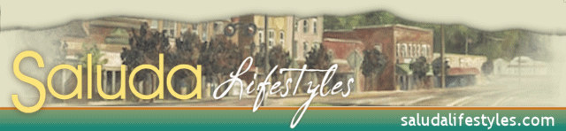 Saluda Lifestyles - Monthly Ezine all about Saluda, NC