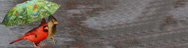 April Showers