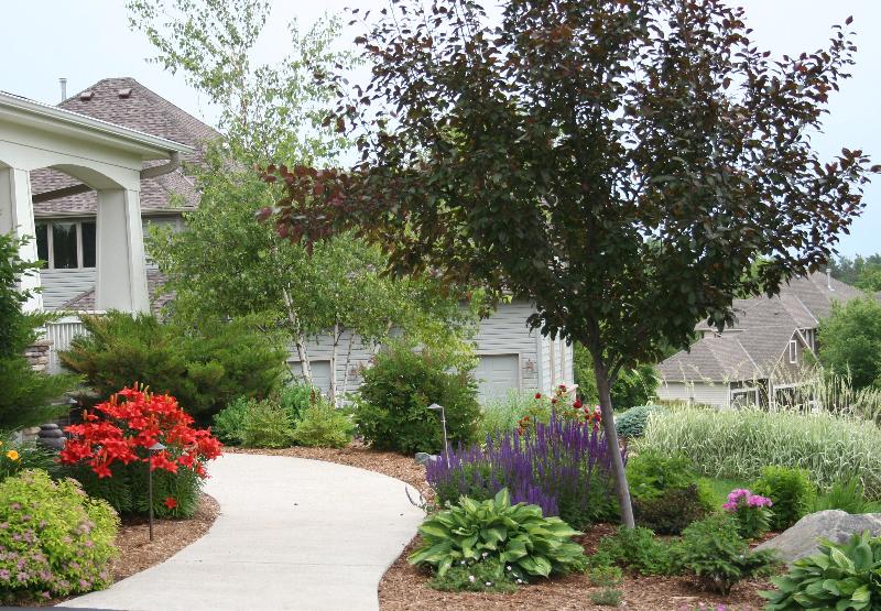 perennials