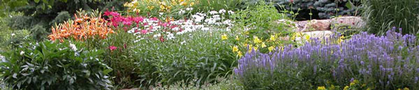 spring flowers