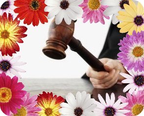 gavel