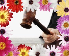 gavel